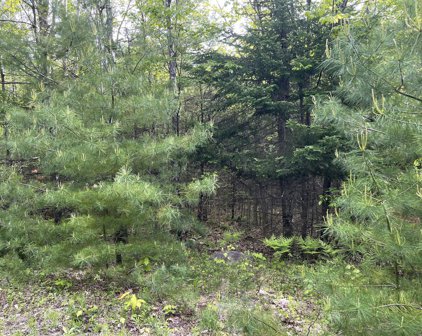 Lot#4 Farms Edge Road, Bridgton