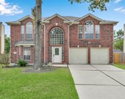 25619 Oakridge Forest Lane, Spring image