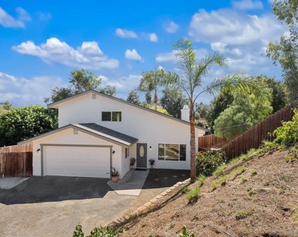 548 Lado De Loma Dr, Vista