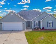 208 Hickory Springs Ct., Conway image