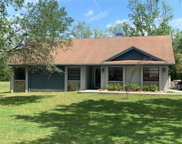 28719 Credence Drive, Wesley Chapel image