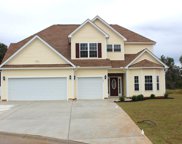 194 Barons Bluff Dr., Conway image