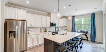 16636 Summers Walk  Boulevard, Davidson
