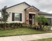 8843 Flourish Drive, Land O' Lakes image