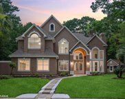 1603 Sheltering Oaks Lane, Houston image