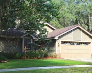 1052 Piedmont Oaks Drive, Apopka image