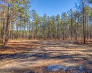 1118 Dehayville Drive, Pinopolis image