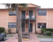 12404 Orange Blossom Oak Place Unit 202, Tampa image