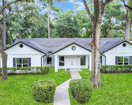 11818 Beinhorn Drive, Houston