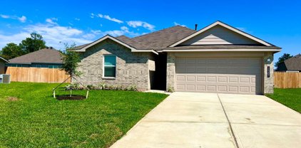 14207 Yellow Jacket Court, Willis