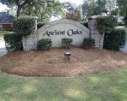 34 Ancient Oaks Circle, Gulf Shores image