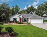 1190 Stoneville Street, Deltona image