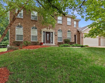 2286 Downey Terrace  Drive, Ellisville