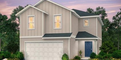 851 Steeplebush, New Braunfels