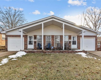 10092 Buffton  Drive, St Louis
