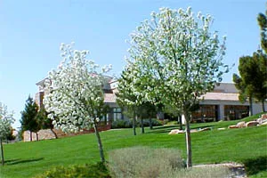 Summerlin City Real Estate