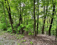 LOT 112 Buck Mountain Road, Purlear image