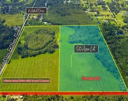 17850 Wildcat  Dr. Tract #1, Fort Myers