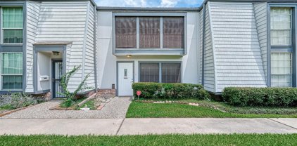 10188 Beekman Place Drive, Houston