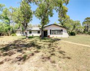 17509 Bosley Drive, Spring Hill image
