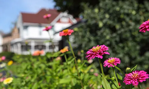 Weddington Homes for Sale