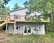 6967 Deer Run Trail, Gaylord image