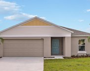 12742 Mangrove Forest Drive, Riverview image