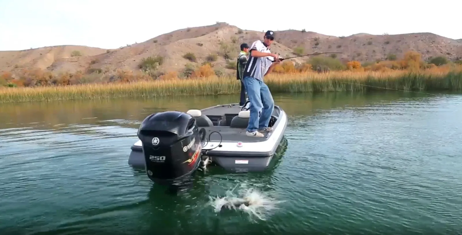 Successful fishing trip and fish catch on Lake Havasu in Arizona