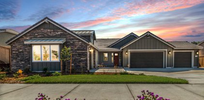 3135 Silky Oak Drive, Roseville