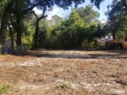 Sasportas Lane, Summerville image