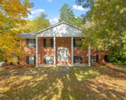 11141 Pleasant Forest Drive, Knoxville image