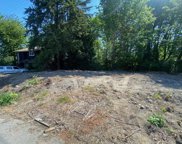 11366 141a Street, Surrey image