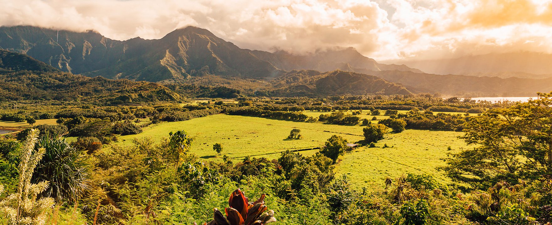kauai real estate