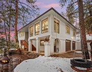4193 S Fir Circle, Evergreen image