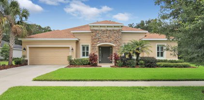 11609 Bromley Court, Lithia