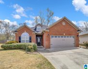 350 Trellis Circle, Springville image