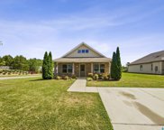 4493 Winchester Hills Way, Clay image