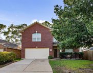14439 Santee Pass Drive, Cypress image