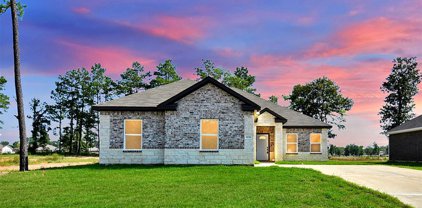6174 Hazel Lake Drive, Conroe
