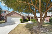 329 Posey Pass, New Braunfels image