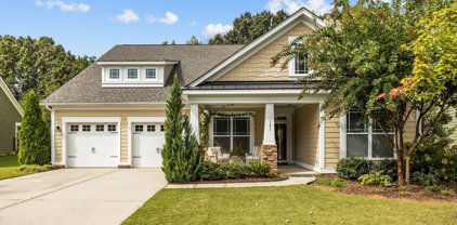 141 Hawks Creek  Parkway, Fort Mill