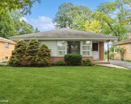 311 N Patton Avenue, Arlington Heights