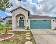 8707 Charming Knoll Court, Tampa image