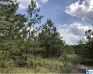 2210 Sweeney Hollow Road Unit 1, Clay image