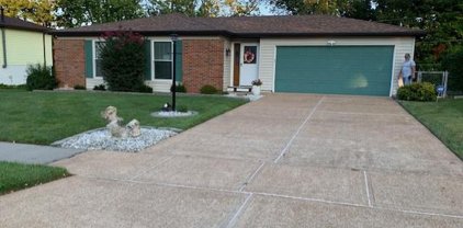 4969 Sefton  Drive, St Louis