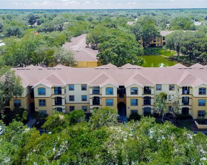 5602 Pinnacle Heights Circle Unit 101, Tampa