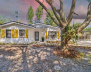 8007 Pine Hill Drive, Tampa image