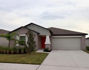 11911 Wild Daffodil Court, Riverview image