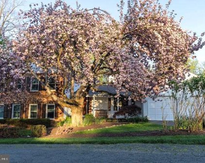 9620 Cinnamon Creek   Drive, Vienna