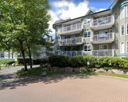 15120 108th Avenue Unit 207, Surrey image